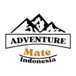 logo mini