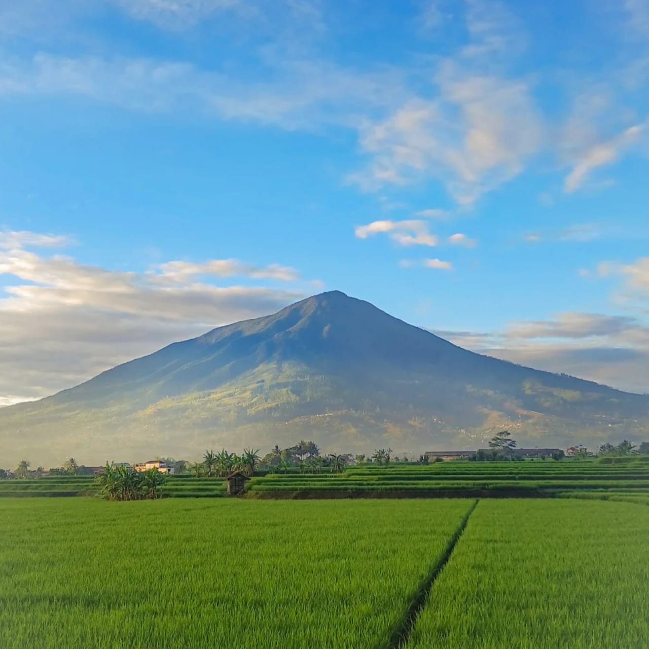 one day trip cikuray